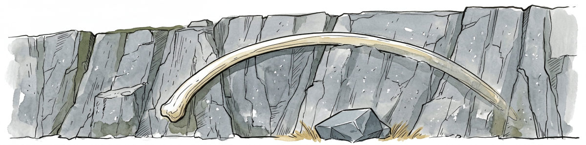 A single curved rib set into a face of grey stone, far longer than any bone from the bank.