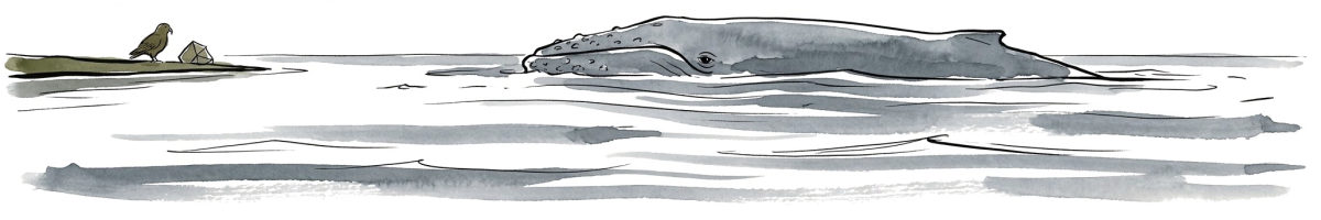 A whale surfacing on a wide sea; Kea and Rock watch from a spit of land.